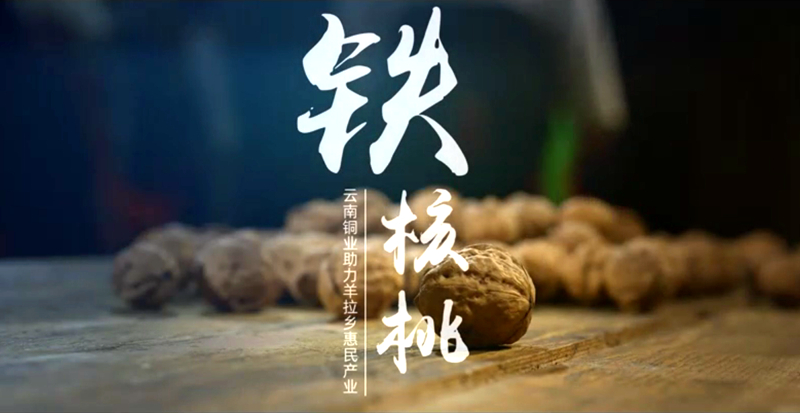 0807-09_副本.jpg