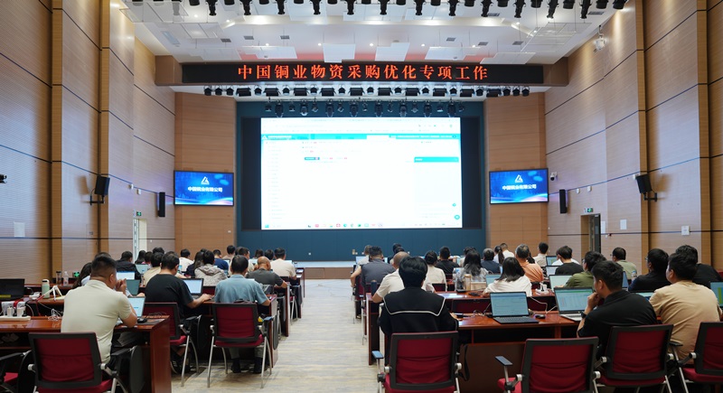 2.中国铜业开展绿星链通系统培训(2)-1.jpg